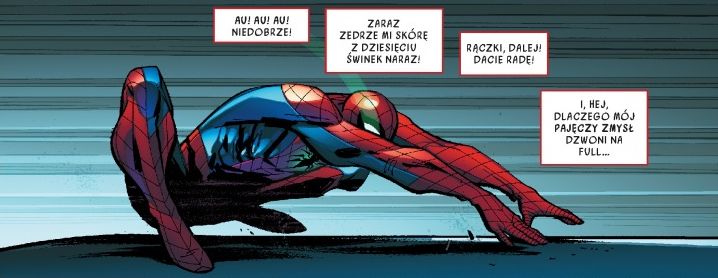 Amazing Spider Man Globalna siec 02